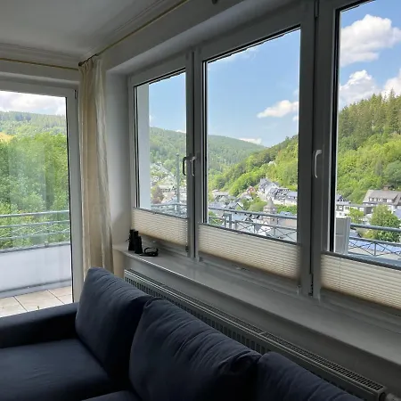 Apartment Bergpanorama - Willingen