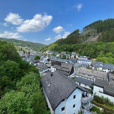 Bergpanorama - Willingen Apartment *
