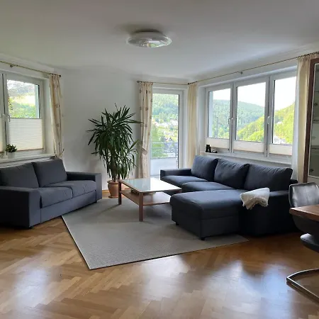 Appartement Bergpanorama - Willingen *