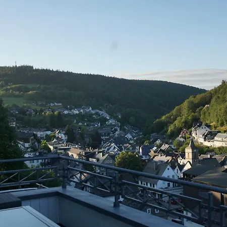 Bergpanorama - Willingen *