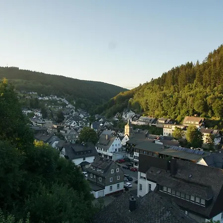 Bergpanorama - Willingen Apartment Willingen (Upland)
